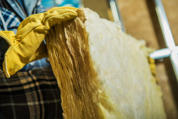 Best Affordable Insulation Services  in Bowdon, GA