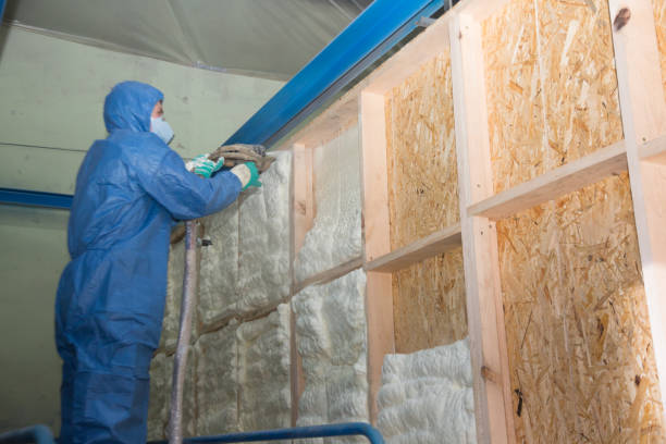 Best Insulation for New Construction  in Bowdon, GA